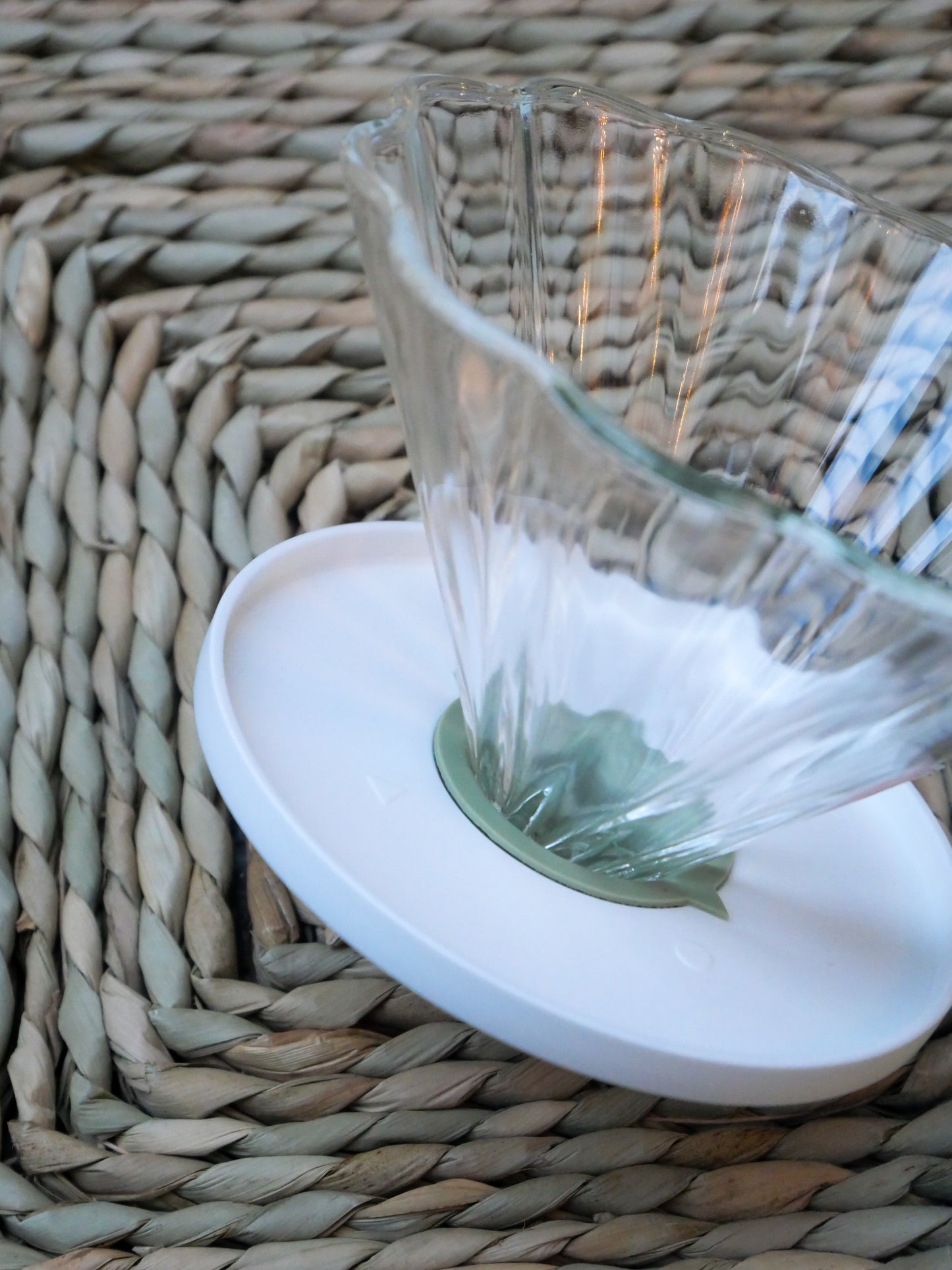 Hario Cha Cha Dripper Bouquet