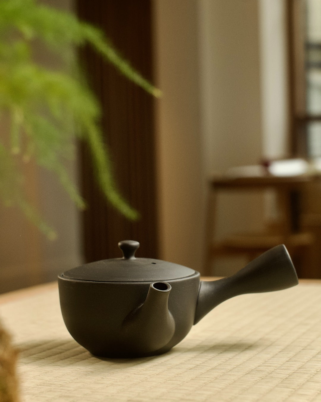 Kyusu - Black Tokoname-yaki Teapot