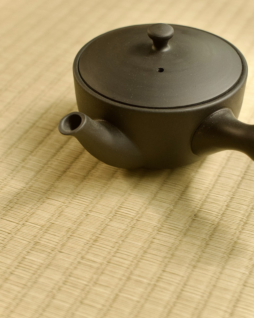 Kyusu - Black Tokoname-yaki Teapot