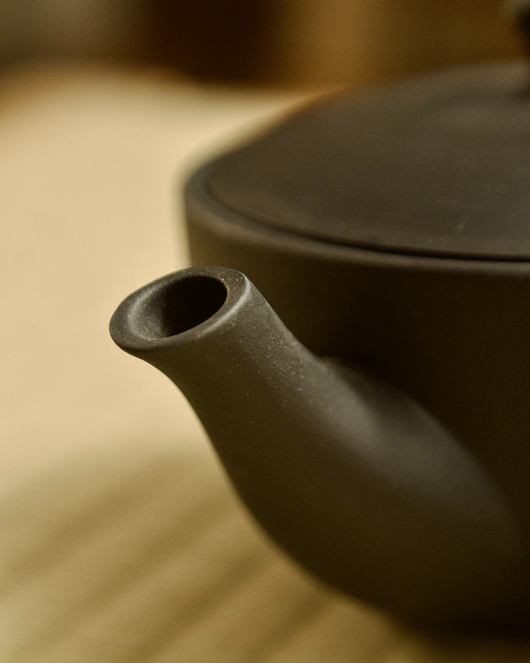 Kyusu - Black Tokoname-yaki Teapot